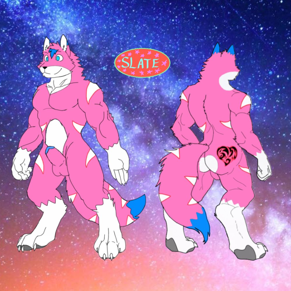 SlateHypercurve tweet media