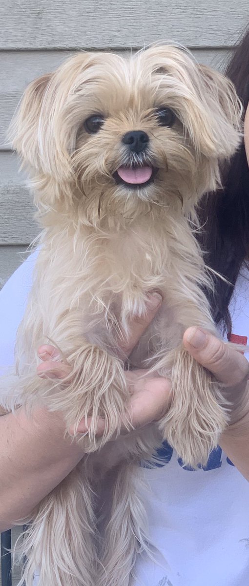AndreaRitter14's tweet photo. My sweet baby, Bella! https://t.co/BABM5p8Mk6