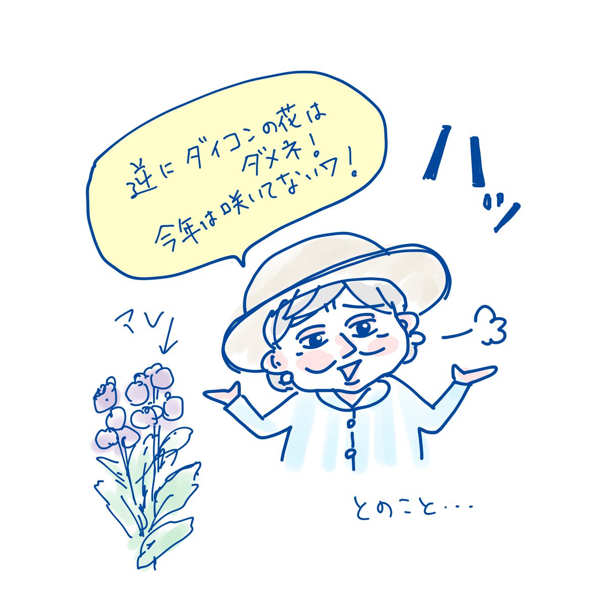 逆に今年は大根の花は全然ダメだそうです。 