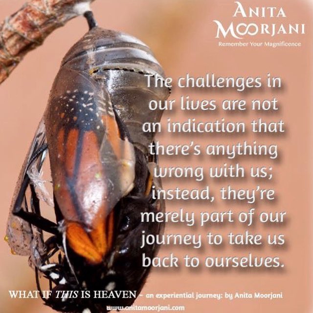 AnitaMoorjani's tweet photo. The challenges in our lives are part of the journey to take us back to ourselves. 🦋🤍✨

https://t.co/UE7qVUN57T 💙

#AnitaMoorjani #DyingToBeMe #Uplift #StayStrong #Empowered #GoodVibes #Positivity https://t.co/BVSHGJbGpo