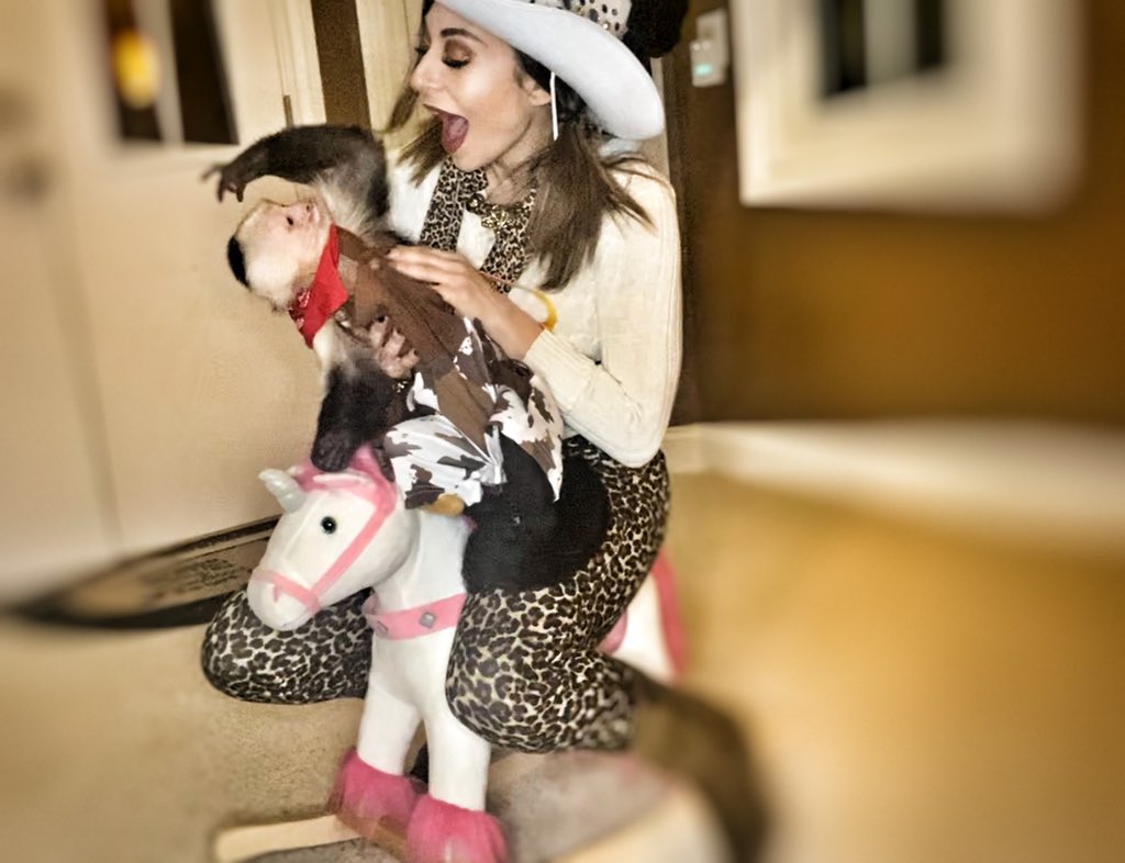 xanderthemonkey's tweet photo. Check out the latest vlog on @youtube Ohana rides a horse with his pet human https://t.co/NyGxDGDB6W