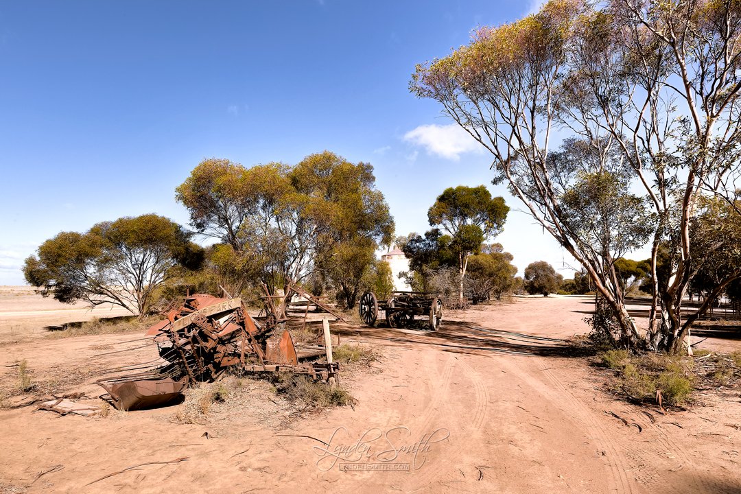 LyndenJSmith's tweet image. Photo of the day, &apos;LIONS PARK&apos;. Full daily blog &amp;amp; pic at LyndenSmith.com #potd  #Patchewollock #Victoria #Australia
