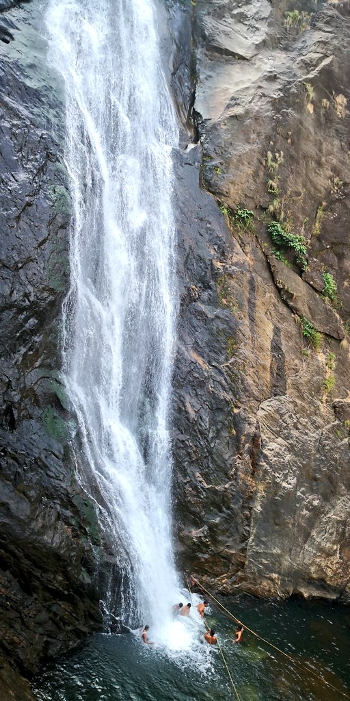 dewanderersoul's tweet photo. @prasannasanthi @journiesofalife @traveloka @indtravel @imagesindonesia @ime_indonesia @NatGeoTravel @travelust_bible @triptipedia @Trip @exploreinspired @beckyexploring @perthtravelers @NatGeoPhotos @TripAdvisor @TravelMagma @TravelWorldMag @travel_comunity @lonelyplanet_in @placestoadore @traveltuesday @vacationshare @worldfrequent @incredibleindia @NGTIndia @ST_TravelMag @AdvTravelmag @hemila82 @confessions_cup @CoffeeboardI @KeralaTourism @Beachextreme @Expedition2Inc @TravelBugsWorld @OfficialBoarder @beautifulpic777 @travelloapp @oltraveller @EnjoyNature @travelmail @photography @cntraveller @CNTraveler @CNNTravel @nytimestravel #palaruvifalls #waterfalls #casacade #kerala #incredibleindia
#photography #travelphotography #travel #traveltribe #travelbugs #beautifuldestinations #wanderlust #wanderlustXL #DeWandererSoul #mytravelpics #travelpics #Kollam #trip #tripadvisor #travelrepost #backpacker #nature https://t.co/XEEY9xrRg4