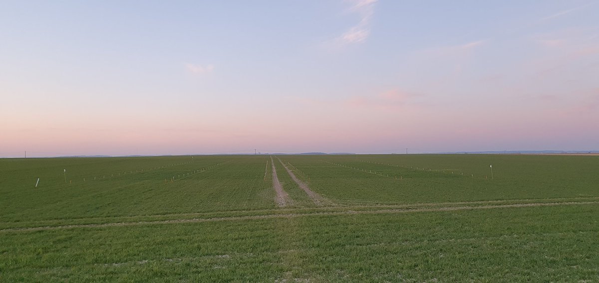 FCroutte's tweet photo. Les agriculteurs œuvrent pour assurer notre alimentation
Sur l'essai @ClefSas 15 jours de décalage entre le désherbage de notre essai et la parcelle, les conditions sont de - en - top @JourdainLuc1 @PDuranel @JeremyMignotte @hexagrain @nicocharpent @NegoceAgricole https://t.co/z0WHCYirp2