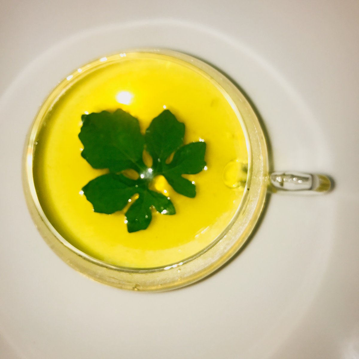 chefkaviar's tweet photo. #Cerasee Tea ๐ฏ๐ฒ๐ฏ๐ฒ https://t.co/XPB2xQk2T8