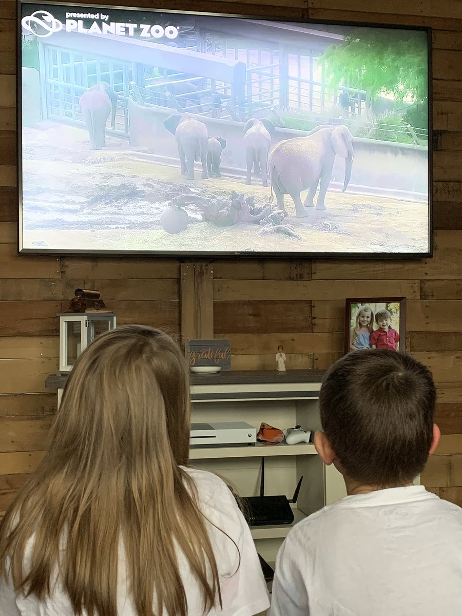 inthegrowthzone's tweet photo. #NGESVirtualSpringBreak today we went camping and visited the live cams @sandiegozoo ! I am grateful for the joy these activities bring my own kiddos! #KidsFirstAlways https://t.co/hKrwxUw5Gm