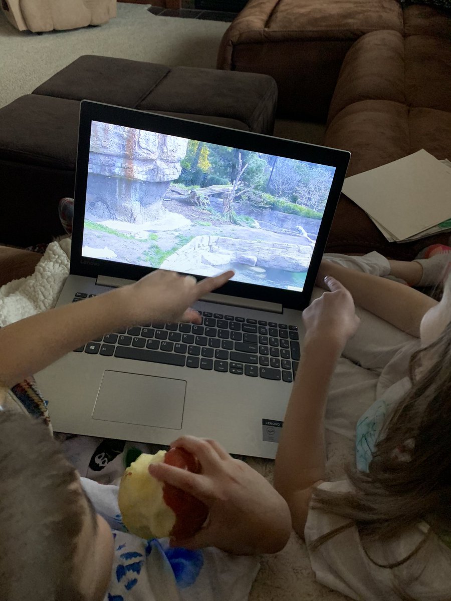 inthegrowthzone's tweet photo. #NGESVirtualSpringBreak today we went camping and visited the live cams @sandiegozoo ! I am grateful for the joy these activities bring my own kiddos! #KidsFirstAlways https://t.co/hKrwxUw5Gm