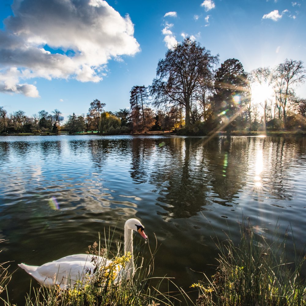 #AvecMonSigma <a href="/SigmaFrance/">Sigma France</a> Objectif 10-20mm Lac de Vincennes. ce fut les premières photos prises avec !