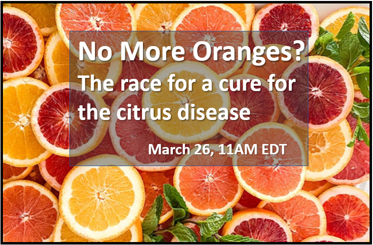 kevinfolta's tweet photo. Helping Teachers and Parents!  Thursday we do a lesson about the #citrus disease that threatens fruit supply.  We need kids' help to think of solutions!  11AM EST on Facebook Live  https://t.co/e9FrQV57C6

@UF_IFAS @UF #ScienceFromHome #homeschool #homeschooling #coronavirus https://t.co/jl632MDdyG