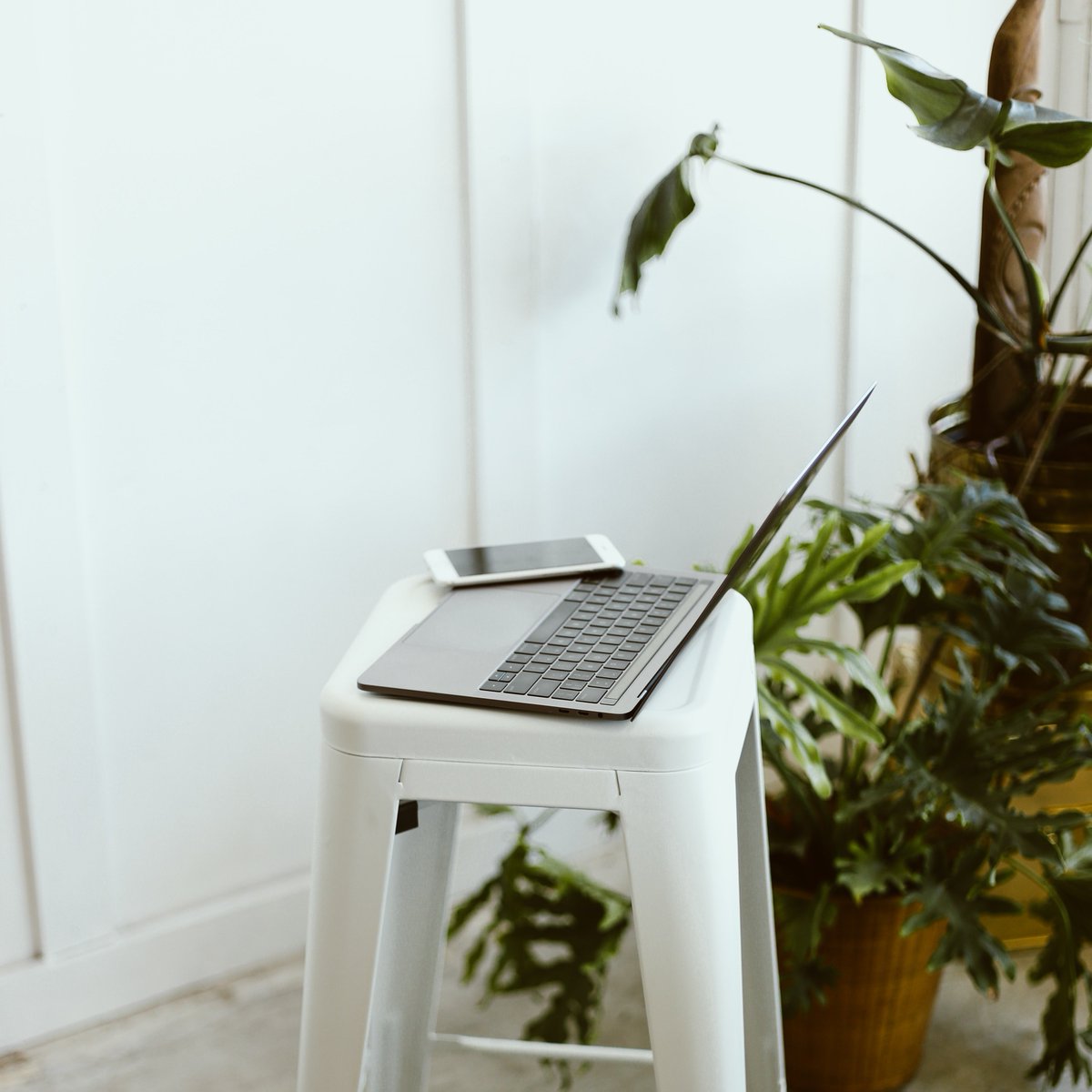 Ready to stream something other than Netflix this week?

Try our LIVE STREAMED YOGA CLASSES! During the Coronavirus shut down, we will continue to provide live-streamed Vinyasa classes Monday-Saturday at 12pm noon and Monday-Friday at 6pm! Prenatal classes coming soon!