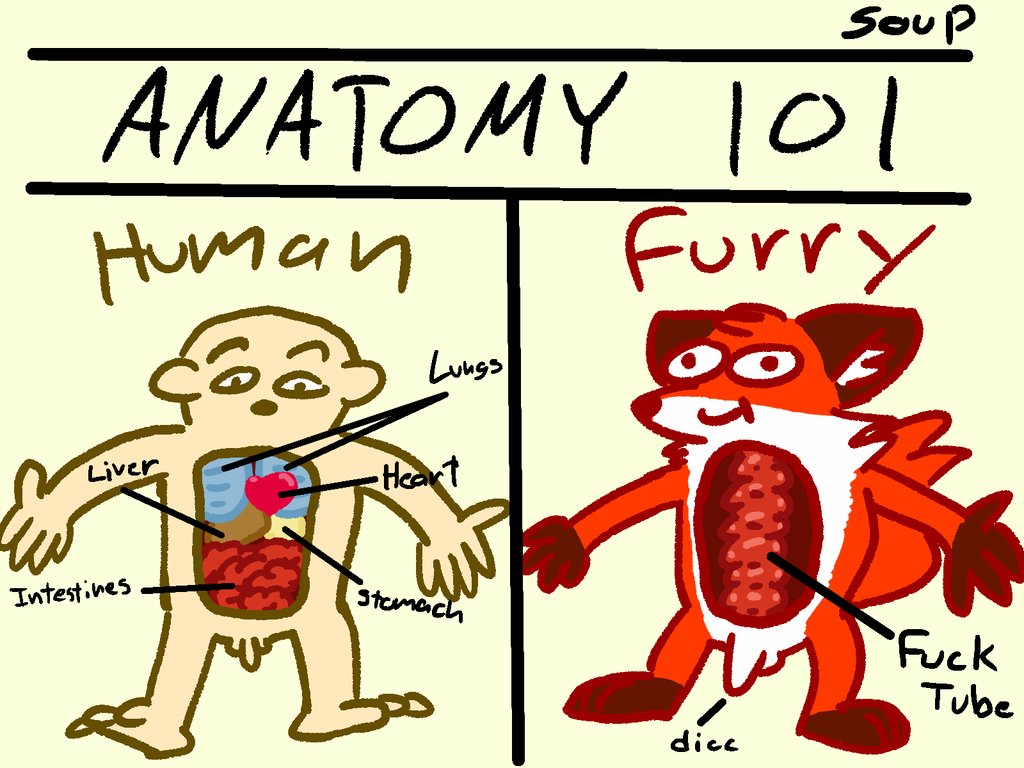 FURRY MEMES on Twitter "Follow furry__memes for more! Source https