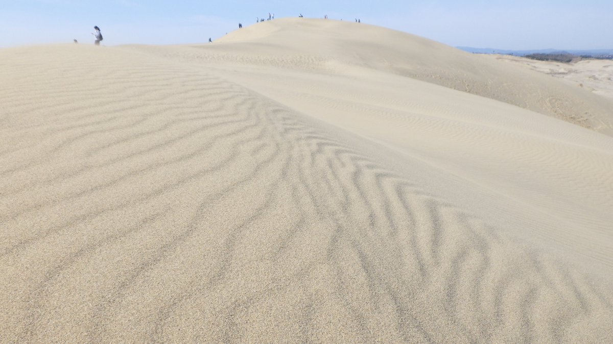 鳥取砂丘ビジターセンター 今日の鳥取砂丘 も風紋日和 予想最高気温は23 と高く 長そでを着て散策していると少し汗ばむくらいです 砂が心地よく 素足やサンダルで散策する方も見かけます そろそろ散策するときには 飲み物も持って行ってくださいね