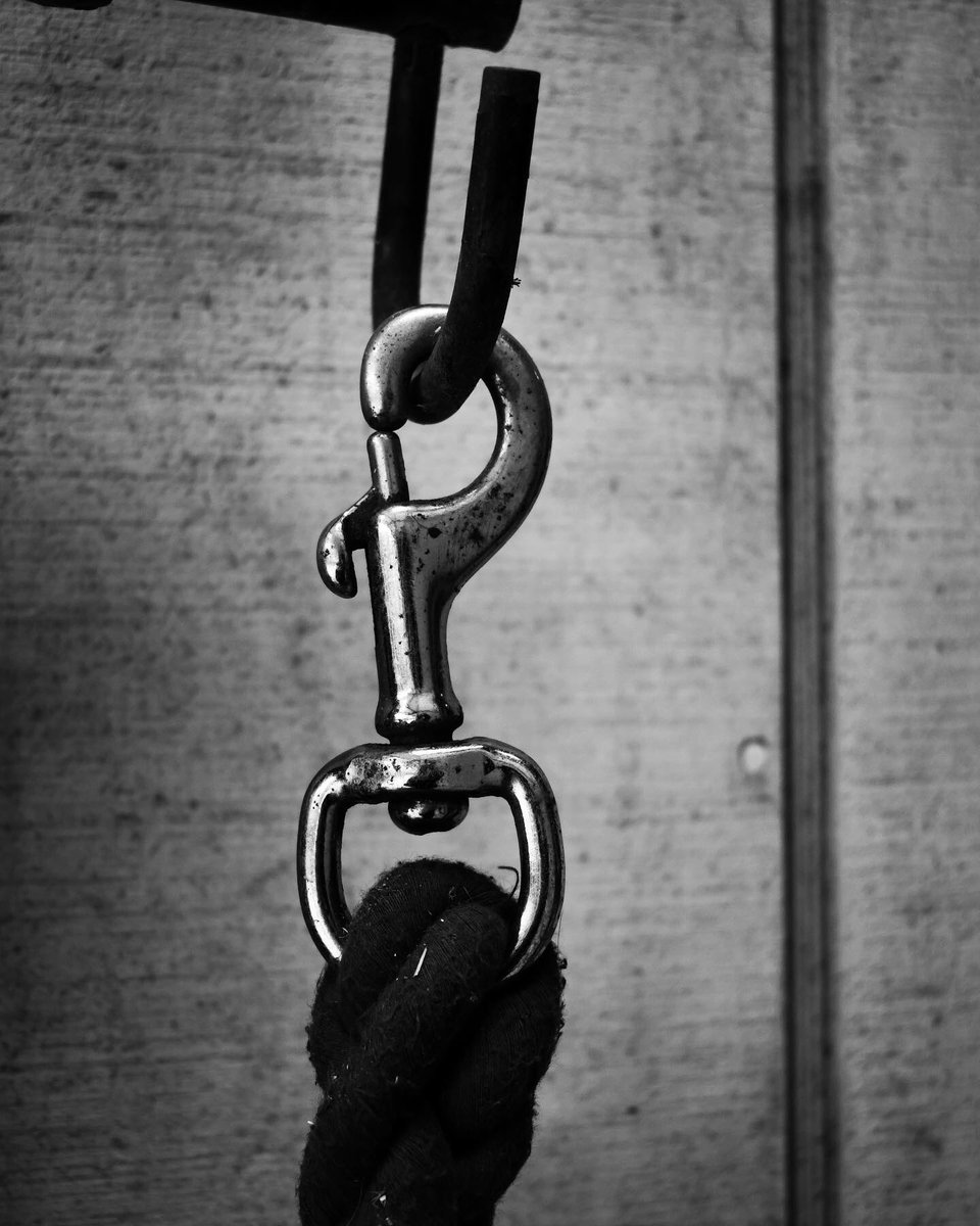 CathyLaDuke's tweet photo. Snap Clip ... #Nikon #photography #leadline #MarsArena #blackandwhitephotography https://t.co/U5A9E1zTi3