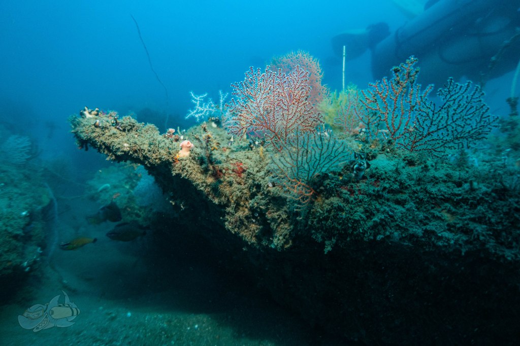 PADITecRec's tweet photo. 12 Tanks, 3 Divers, 1 New Dive Site https://t.co/Uw9H405u2P https://t.co/c3mWD9zPbS