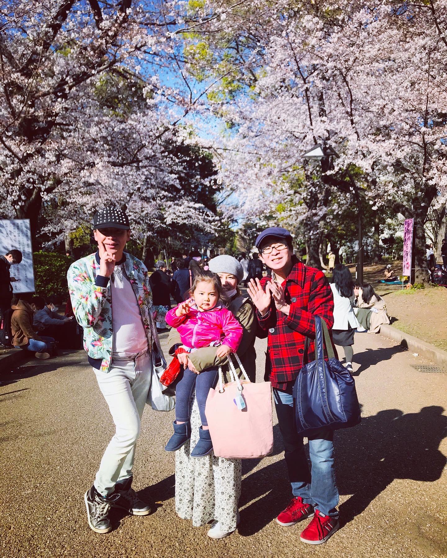 女子会お花見 Twitter Search Twitter