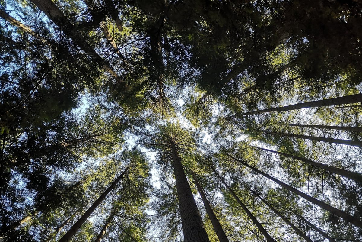 Our founder, Warren shares his practical strategies and planning for Viral Illness ow.ly/eOnQ50yW2FA