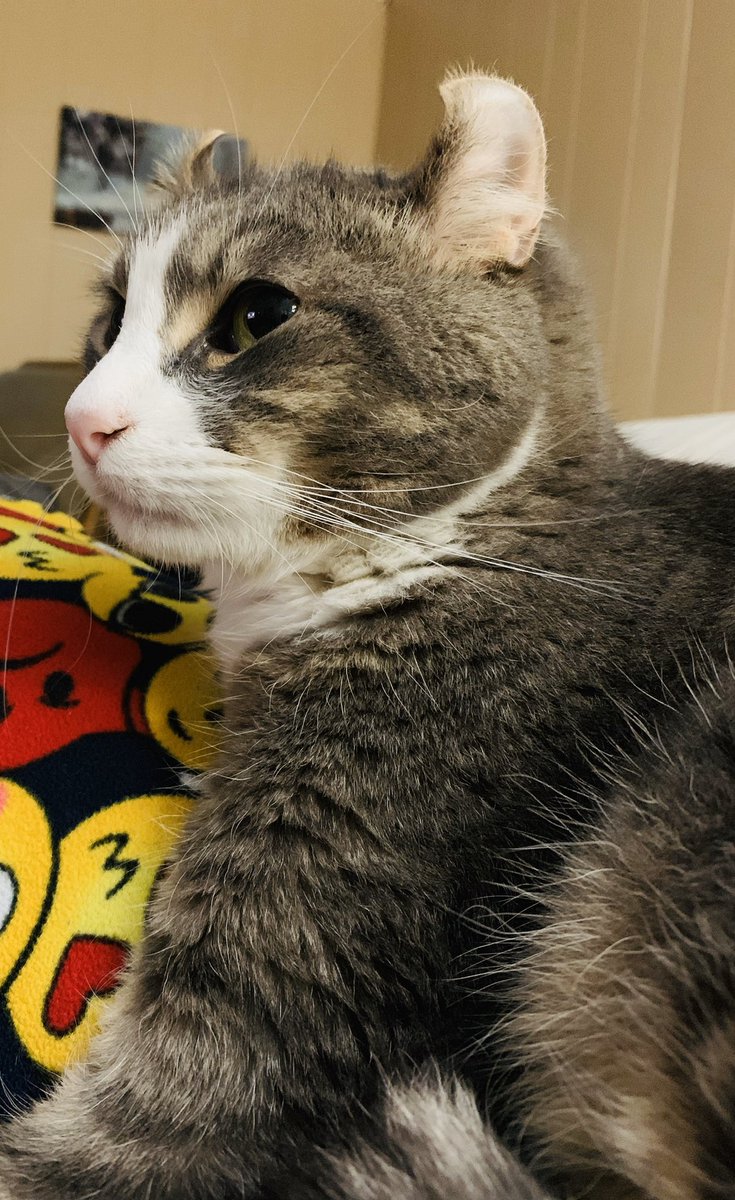 sarah32924's tweet photo. @RVA_Official Avery, my lil’ boop. 🥰 https://t.co/a28XyyfiNN