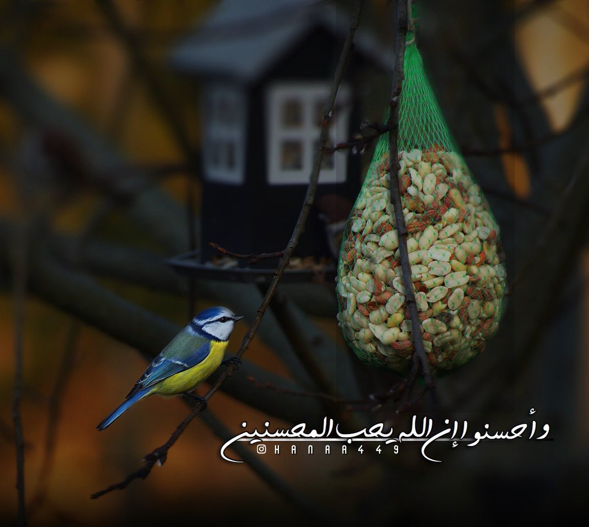 #تصميمي