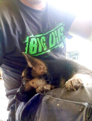 BIGDIRTFNQ's tweet photo. Meet Zola : the newest member of our 4x4 family . #4x4 #offroad #bestmates https://t.co/dk9Lzg8gv4