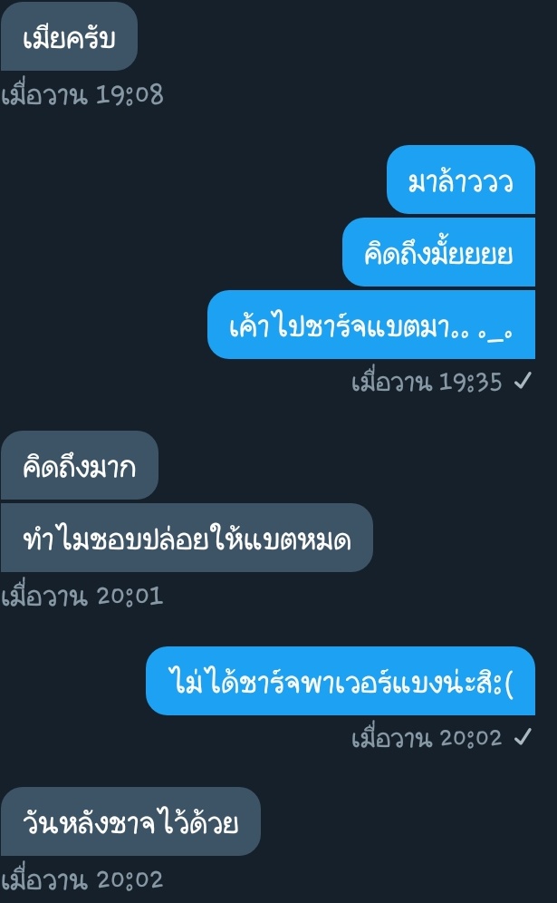 แมวมาขิงผัวครับ ลิมิตฟอลครับ tweet media