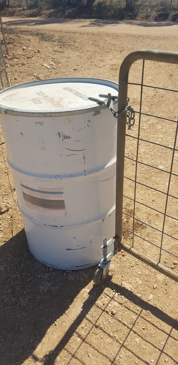 Leighton Wilksch tweet media