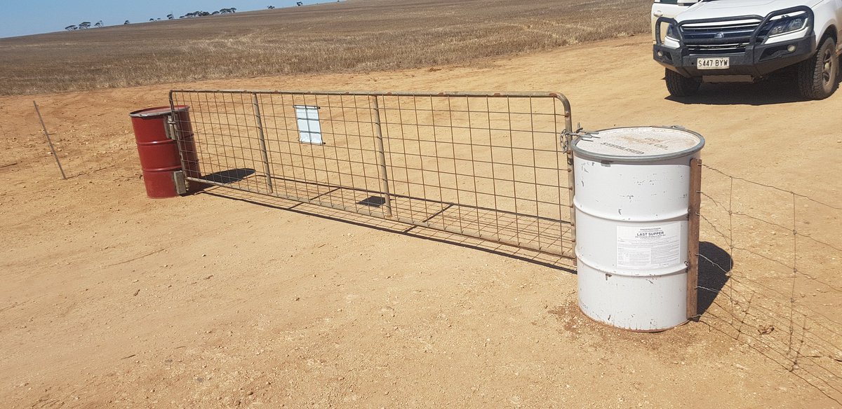 Leighton Wilksch tweet media