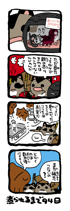 @DoyonoJun 100日後に煮られるタケノコ7 