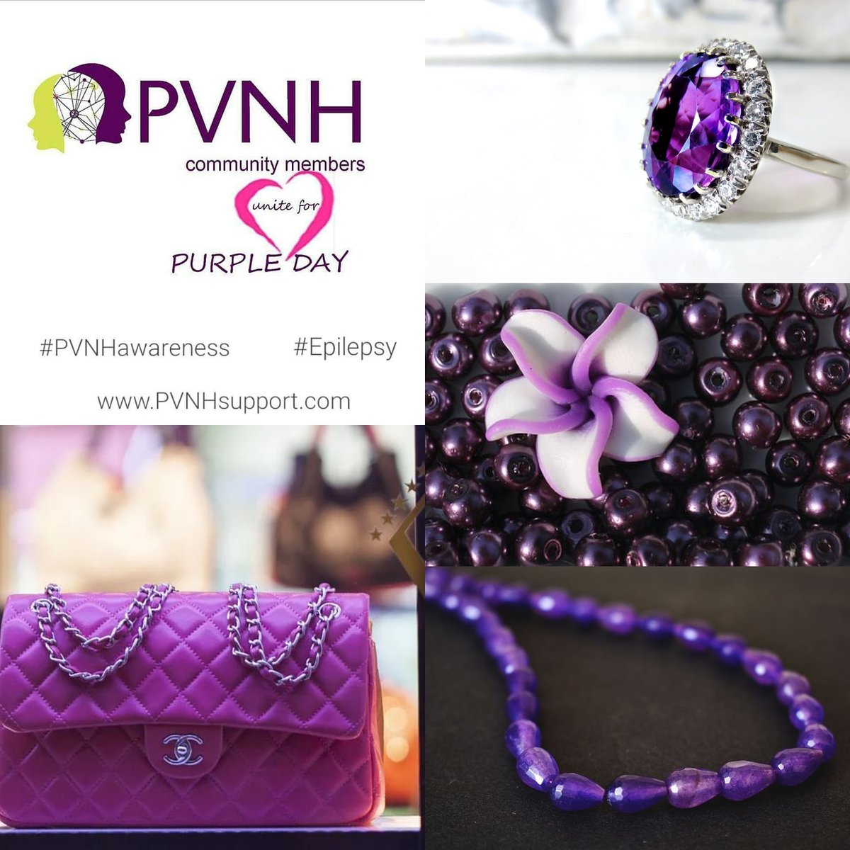 vangroovymom's tweet photo. Got #purple clothes or accessories at home? Take a photo and tag @PVNHsupport on March 26, in support of all who have #epilepsy or may develop it because of PVNH. Our risk is high, with up to 90% of PVNH-affected individuals who will. #PVNH #EpilepsyAwareness #NeuronalMigration https://t.co/I8Rq0v0u8S