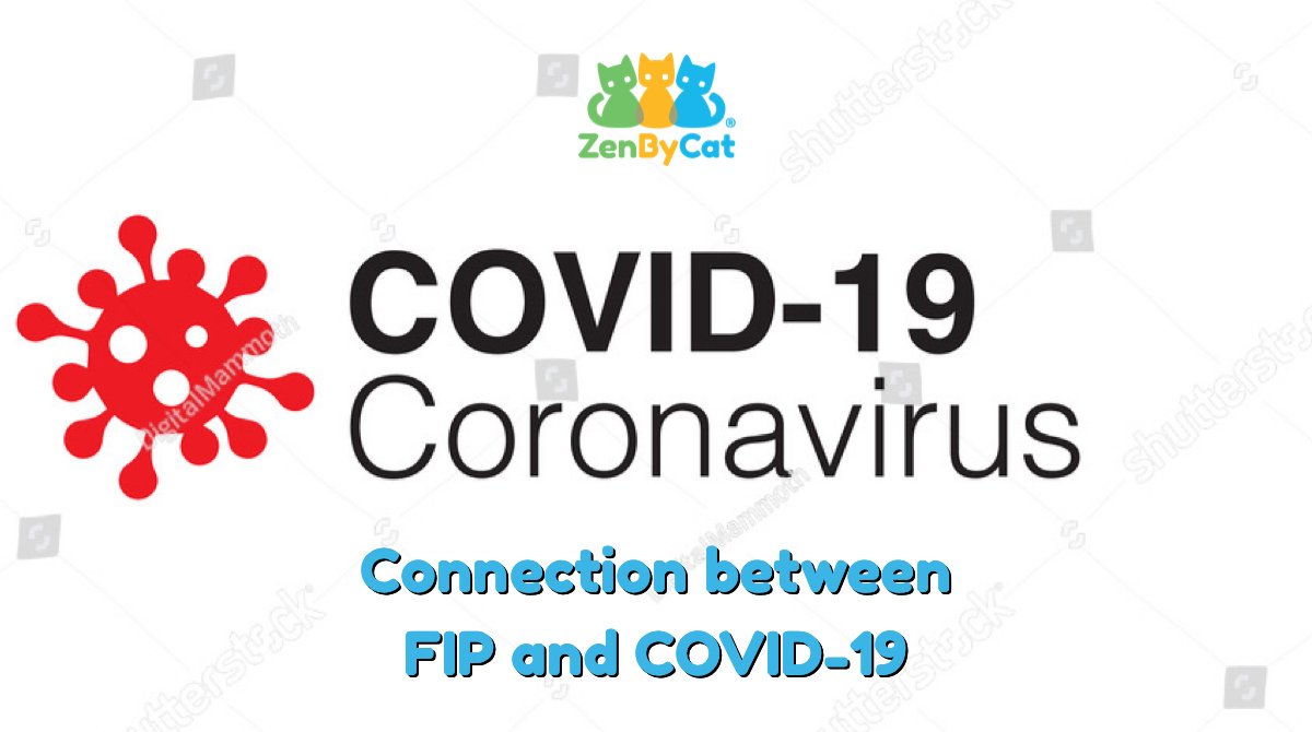 ZenByCat's tweet photo. https://t.co/EtUYP5xHcp
Connection between FIP and COVID-19
#FIP #EndFIP #FIPWarrior #COVID19 https://t.co/rTITfCfb6S