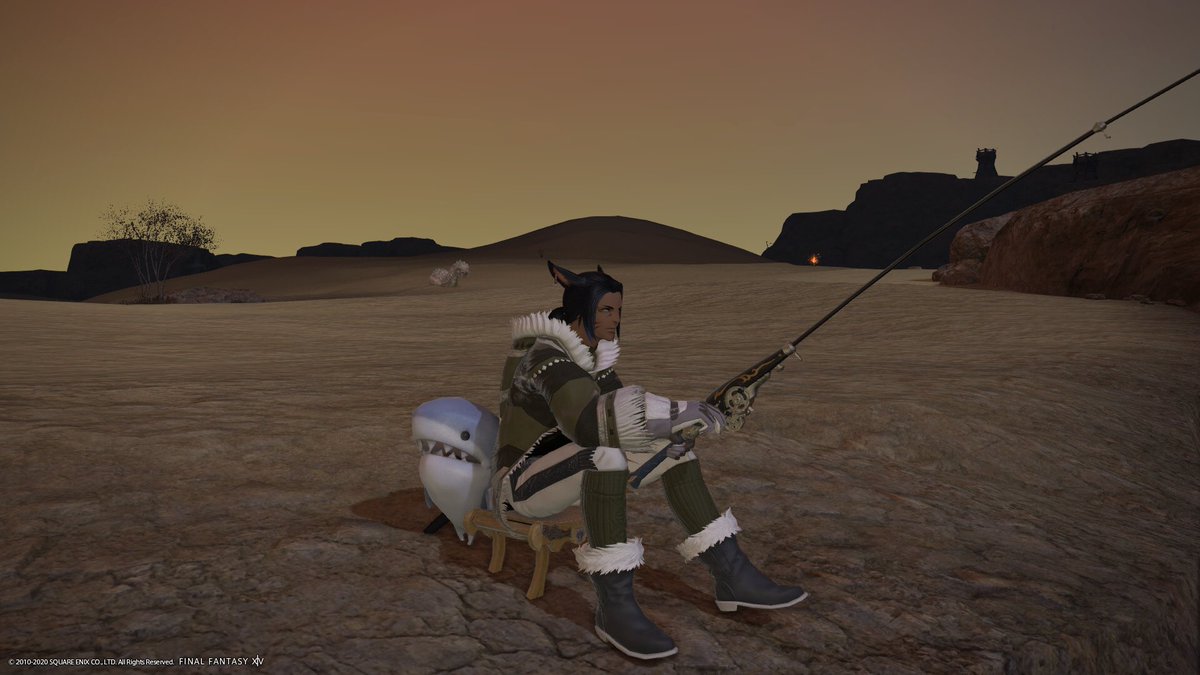 昨日はサメちゃん手に入れた！🦈