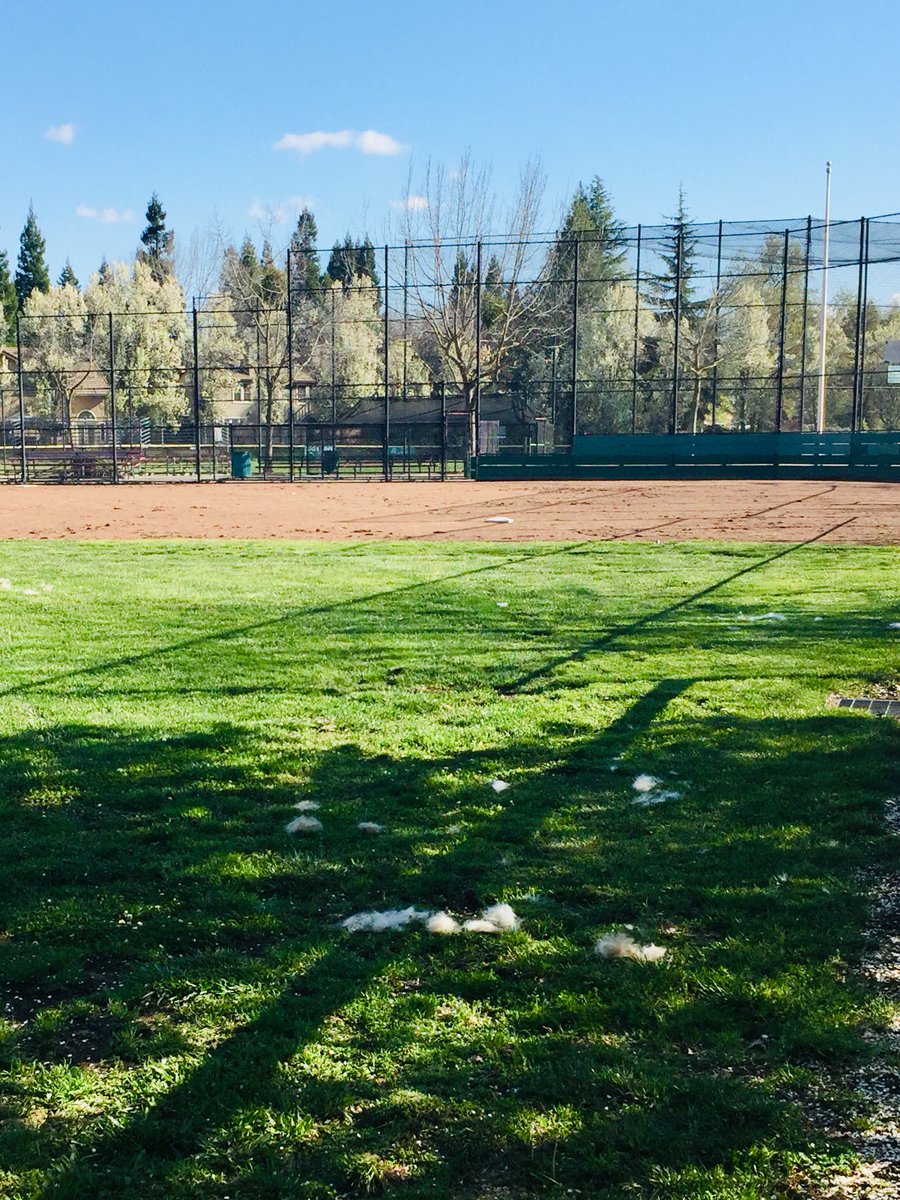 k9danka's tweet photo. It’s a good thing I’m not a bad guy! I leave Dankabunnies everywhere I go! #K9 #gsd #k9team #k9partner #k9danka #workingdog #detectionk9 https://t.co/XeNIwGjp1C