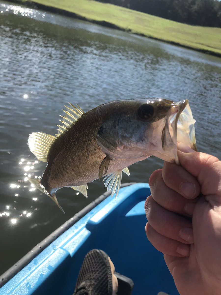 StevenBrownBSB's tweet photo. Quarantine Life at its best.... Thinking about Baseball and Fishing!!! #QuarantineLife #praytoplay #fishing https://t.co/fmrjcu4vbL