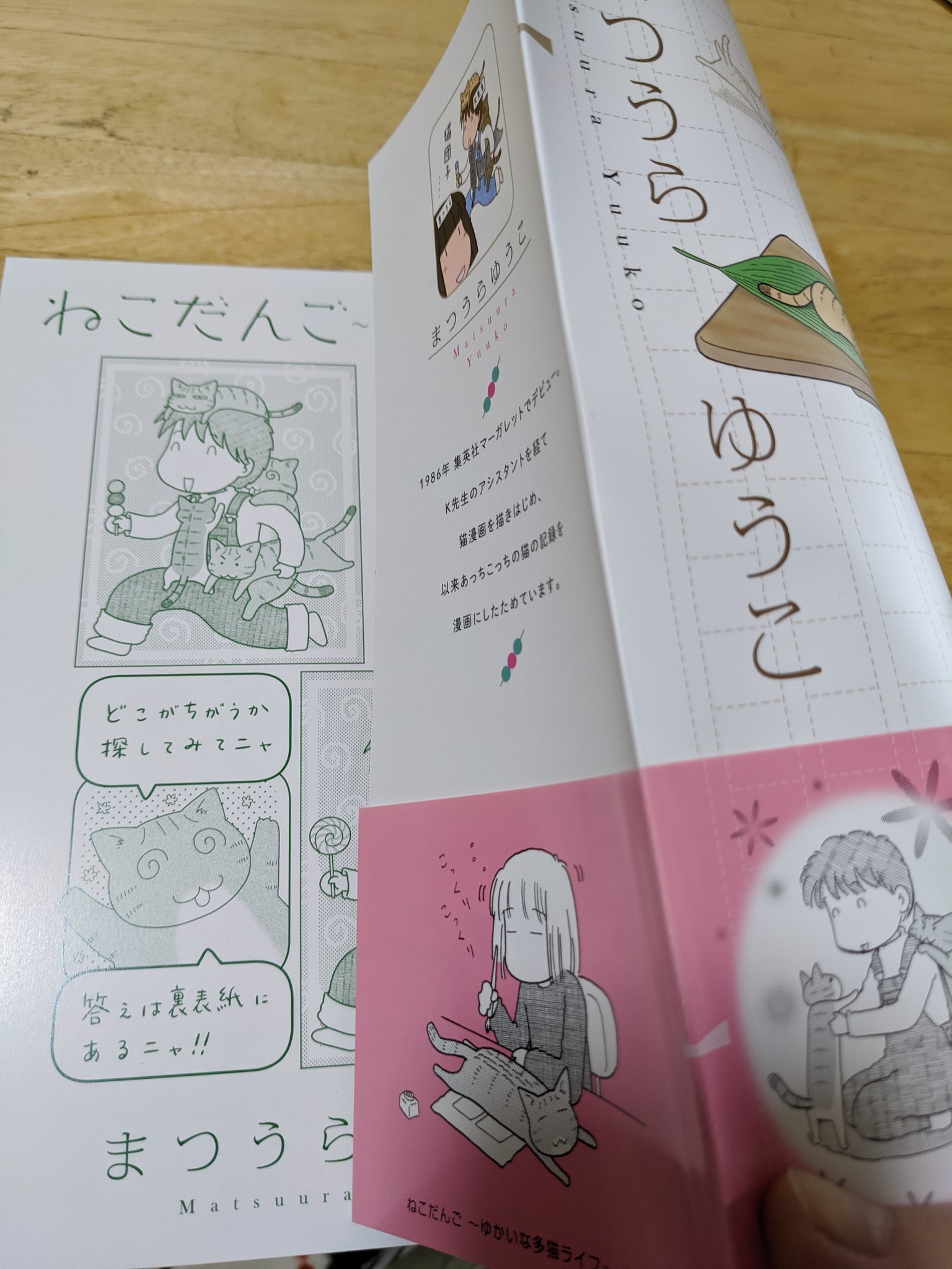 まつうらゆうこ Twitterissa カバーを外すとまちがい探しがあります 遊んでみてくださいね 単行本 多猫ライフ2 ねこだんご