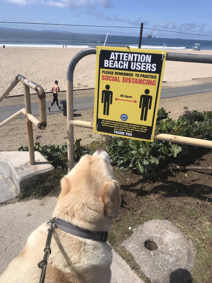 rickytnelson's tweet photo. @HBCityBeach @HBPD_PIO @HBFD_PIO We got this! https://t.co/xq4iQUxliV