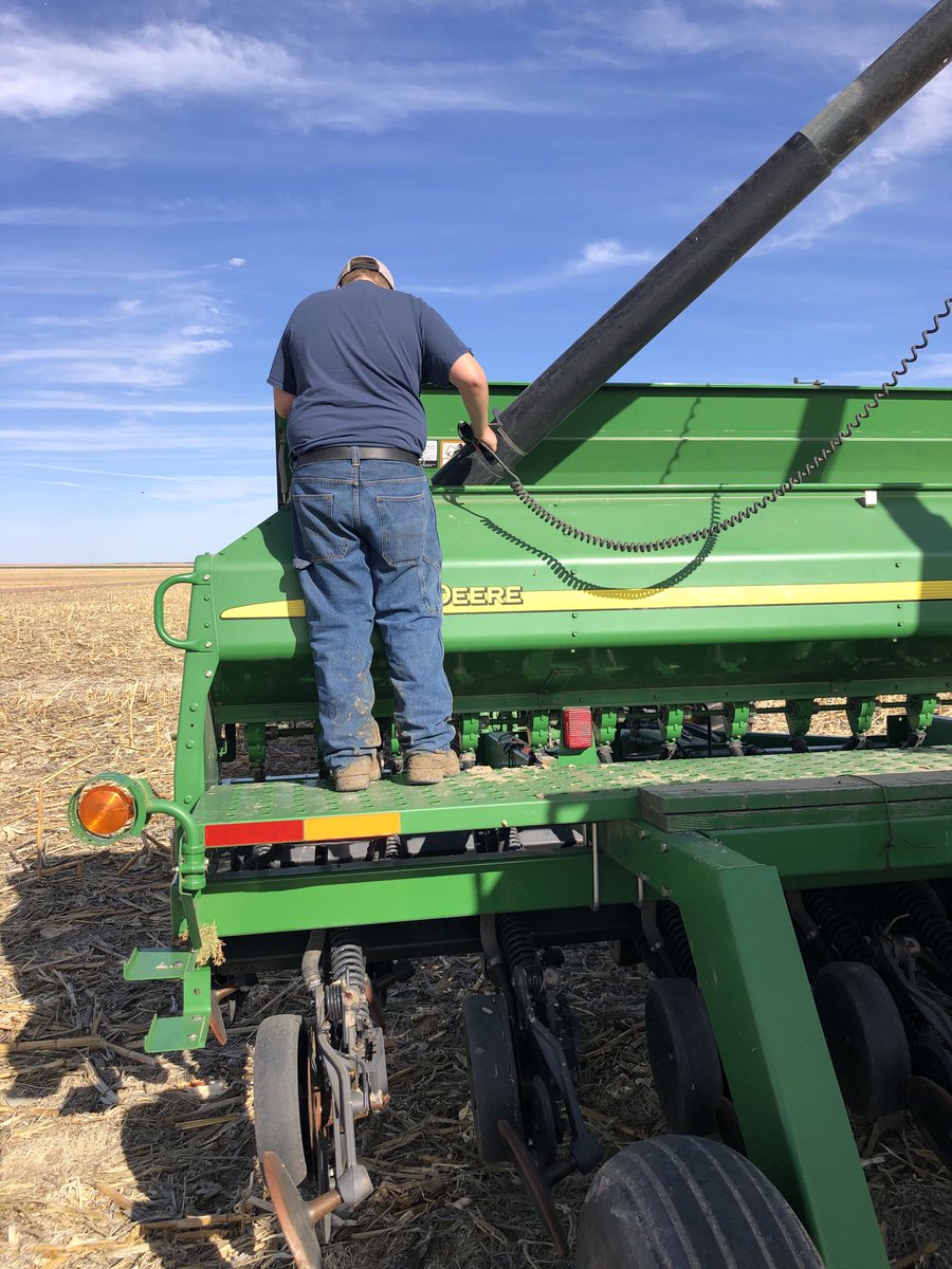 LashleyCurtis's tweet photo. Teaching the hired man how to drill #oats just about has it mastered https://t.co/AGEngQBWno