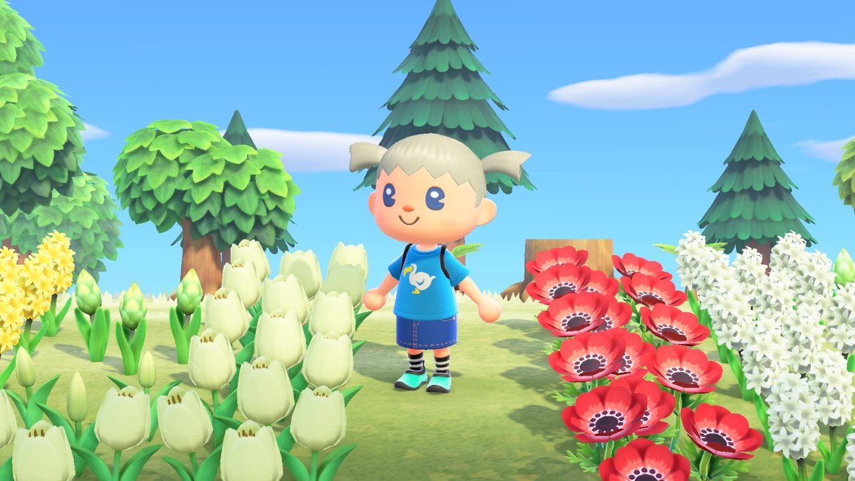 nutsinbee's tweet photo. #AnimalCrossing #ACNH #NintendoSwitch https://t.co/QREcDUp06v