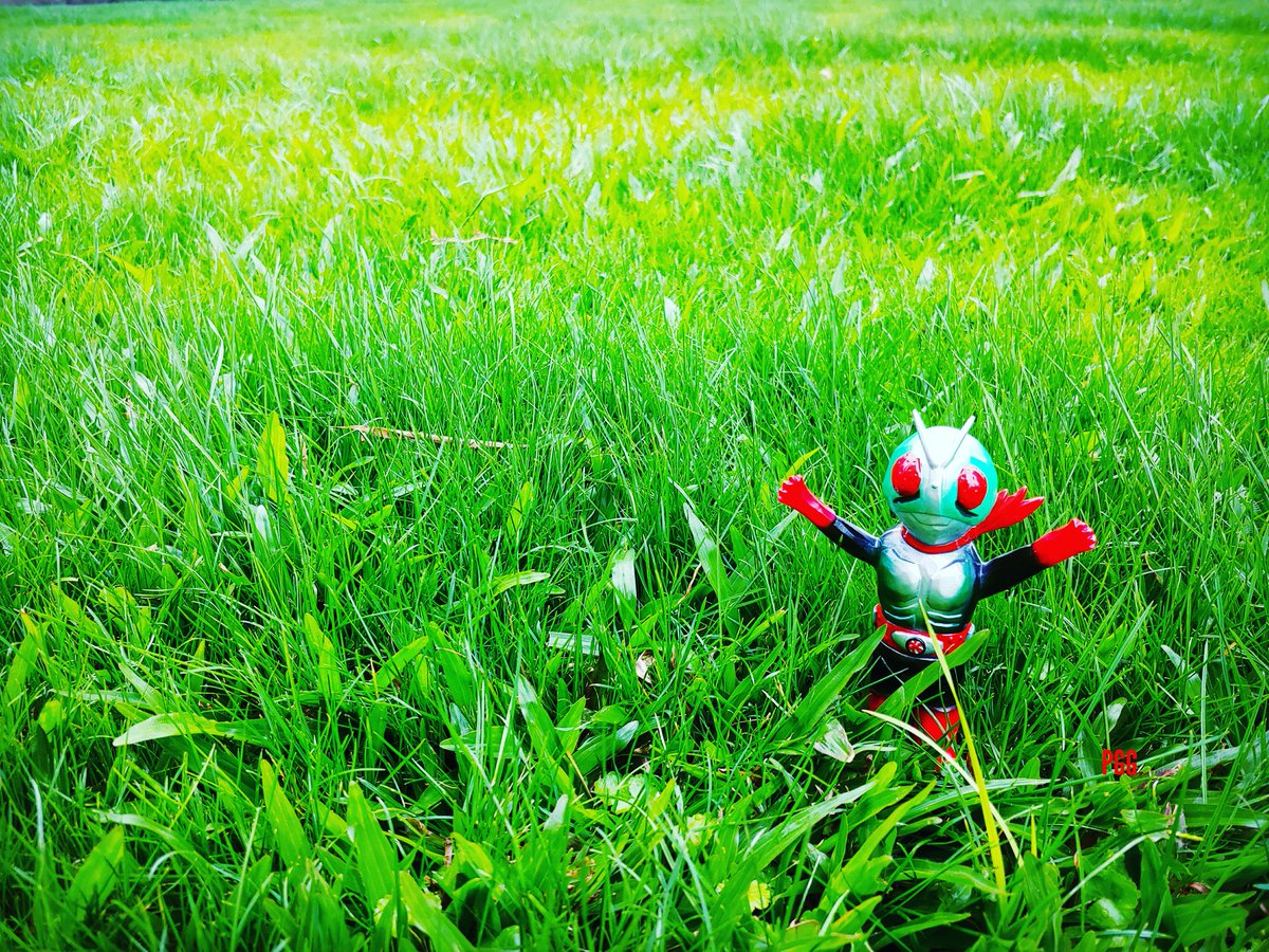 Godzilkiller's tweet photo. Go Green https://t.co/g8t19BWz6O
