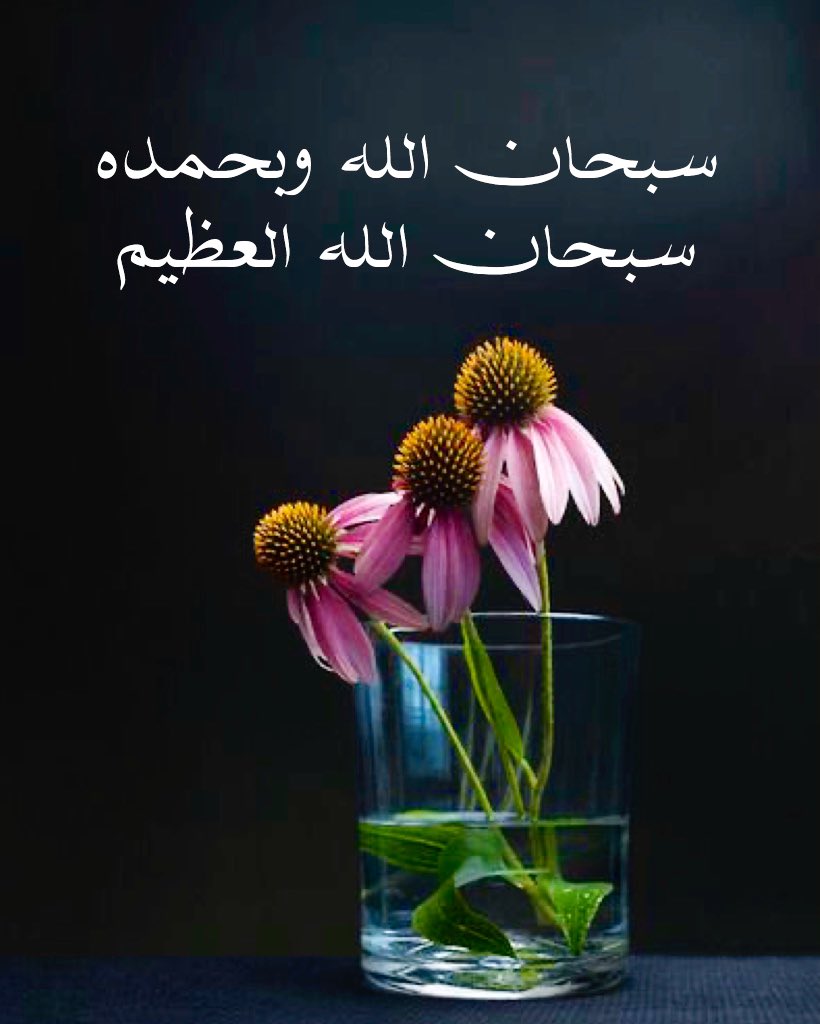 عن أبي هريرة  رضي الله عنه قال:
قال رسول الله ﷺ :
كلمتان خفيفتان على اللسان ثقيلتان في الميزان
حبيبتان إلى الرحمن:

سبحان الله وبحمده 
سبحان الله العظيم

#متفق_عليه
#أذكار_الصباح_والمساء #دعاء
#سبحان_الله #الحمدلله
#صلوا_على_النبي_محمد
#تسبيح #أذكار 
 #استغفر_الله