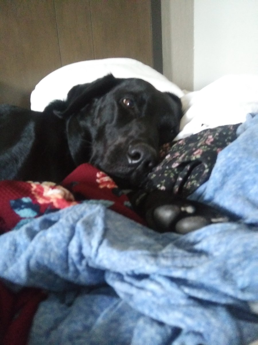 FontFxrest (@fontfxrest) on Twitter photo 