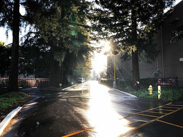 Dowbiggin's tweet photo. Walking onto campus at a time when this is normally jam-packed with cars leaving after dropping off their high schoolers... #harkertogs https://t.co/9zigLMNjei