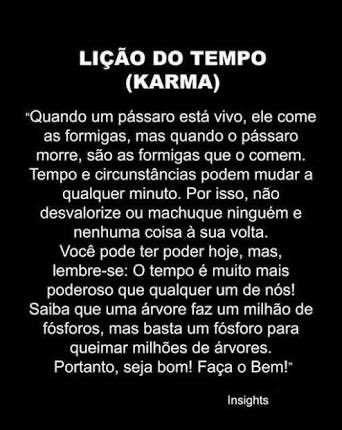 Márcia ❤️🇧🇷🇵🇹📚🎼🎬🐾💐 tweet media