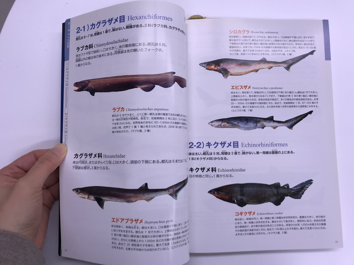 ブックマン社の生物係 Pa Twitter 週末おすすめ書籍 サメー海の王者たち 子供も大人も大好きなサメ でもサメのことどれくらい知っていますか 摂餌 遊泳 生殖 分布 サメによる被害の実態まで この1冊でサメのことがすべてまるわかり 怖いだけじゃない