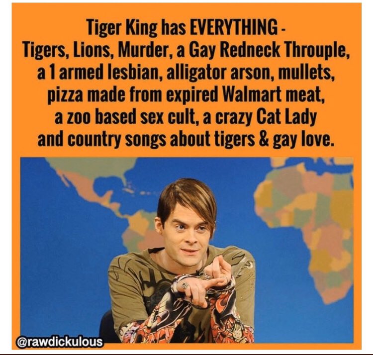 miannacci8's tweet photo. Just started watching Tiger King on Netflix. Crazy that this meme is 100% accurate. 😂 https://t.co/3f3hrl8PQ9