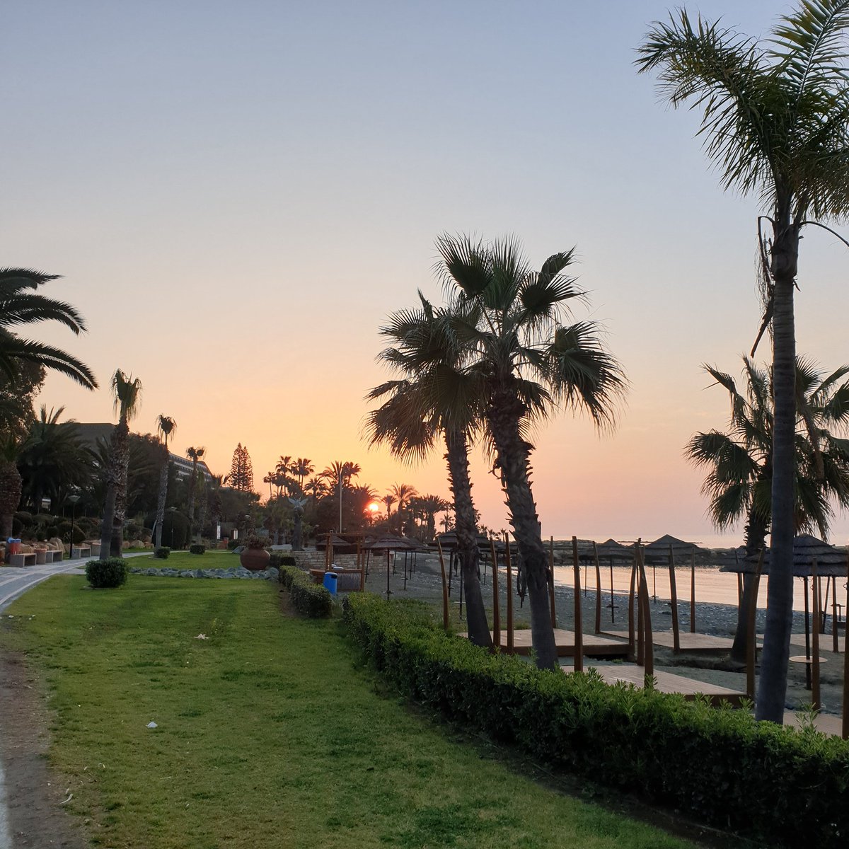 charli_says's tweet image. "I dream that lawla flowers will bloom in the streets of Kabul again and rubab music will play in the samovar houses and kites will fly in the skies." - Khaled Hosseini 

#kiterunner #authors #Cyprus #sunrise