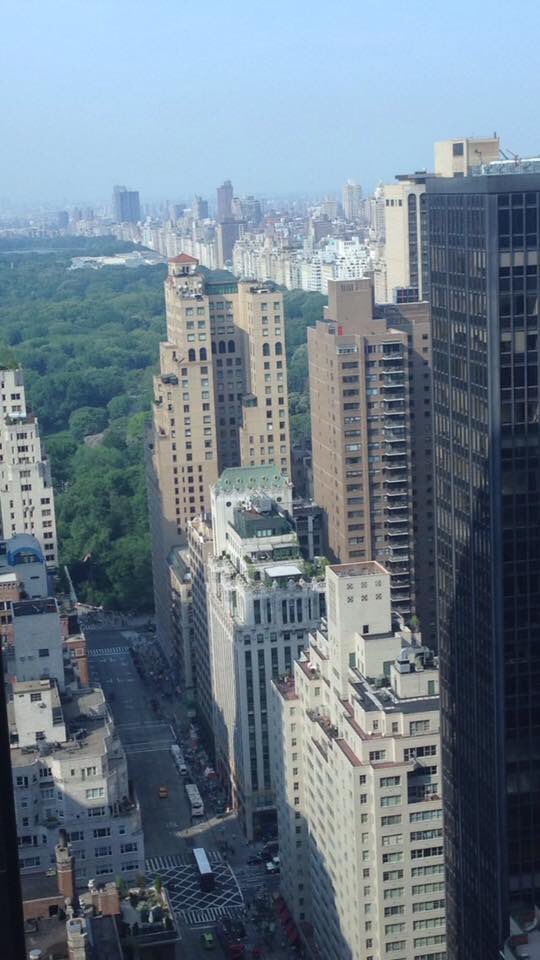 EverythingVRT's tweet image. Penthouse Vibes #NYC . #CentralParkViews