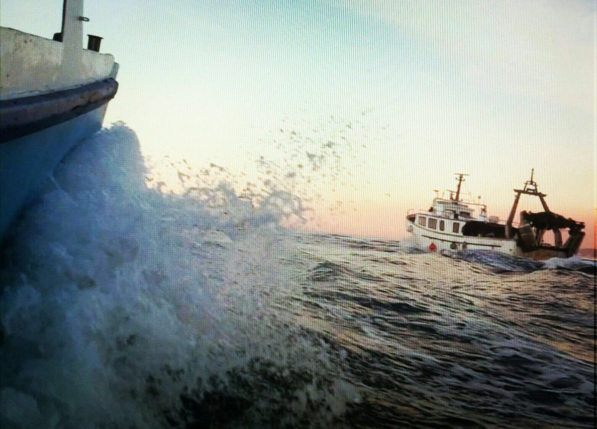 Agraïm a les treballadores i treballadors de la Confraría de Pescadors de Roses que tot i que som poquets pescant,Ells al peu del canó i amb una rialla.💪