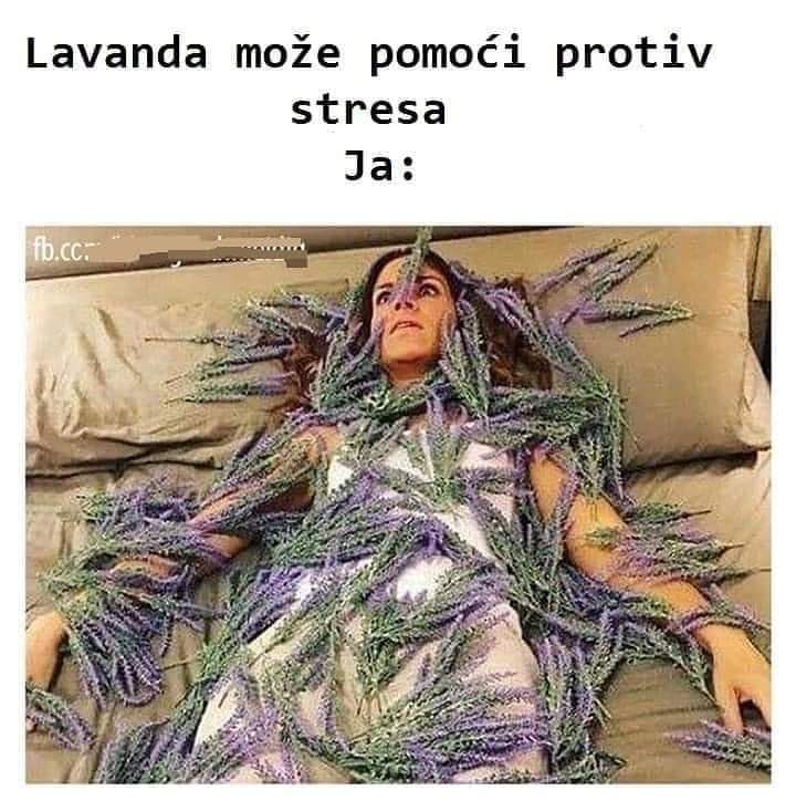 ooomajgad's tweet photo. 5.54h.
Dobro jutro, društvance! https://t.co/PzKpSjS83v