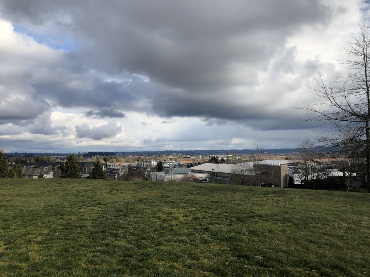 Life in pictures. No words. Day 4/5.