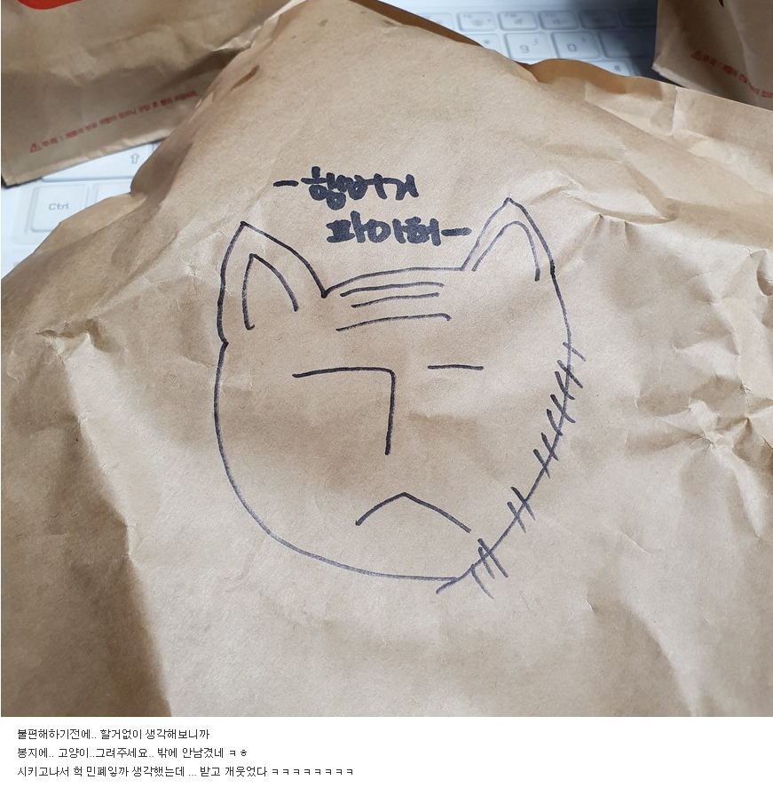 롯데리아 시키면서 고양이 그려달라고 했는데