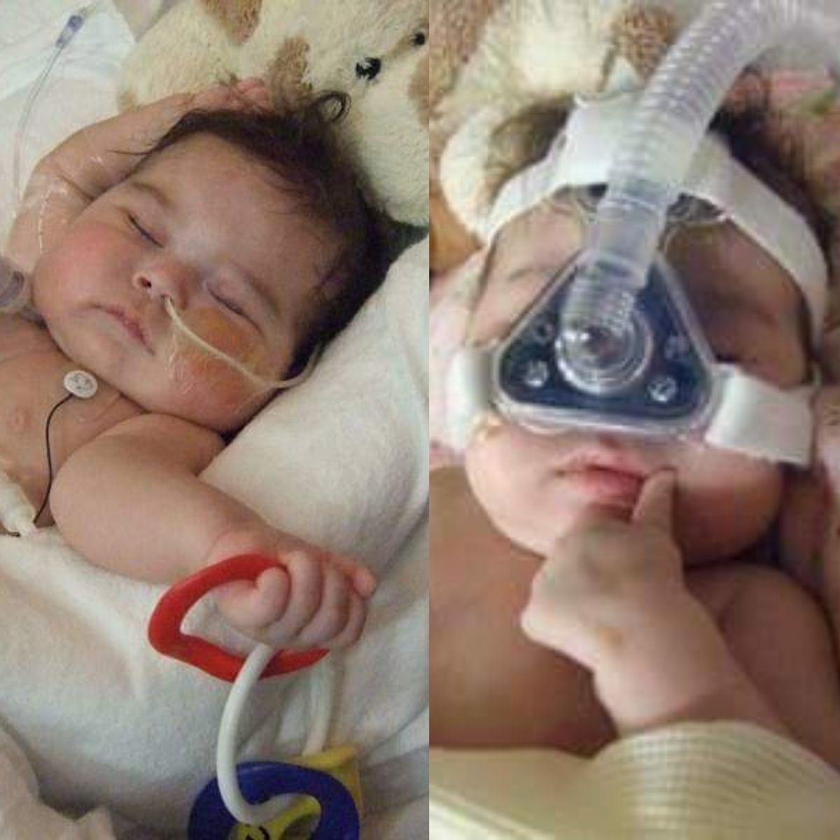 vangroovymom's tweet photo. PVNH Month, Day 25 = #THERAPY Ella was zonked out after play therapy with BCCH's childlife &amp; maman. During her sessions, we played, taught her sign language, made music. She breathed, grew &amp; lived tx to '02 therapy.💗#MarchOnPVNH #PVNH #PVNHawareness #XLinkedPVNH  #InMemoryOfElla https://t.co/eFL5YRyOSE